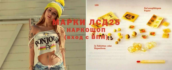 молекула духа Болхов