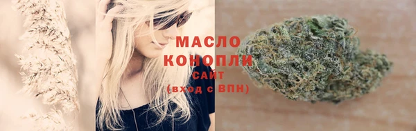СК Зерноград