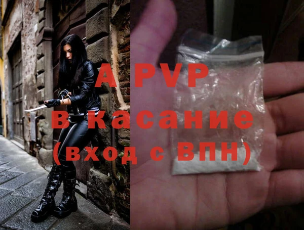 СК Зерноград