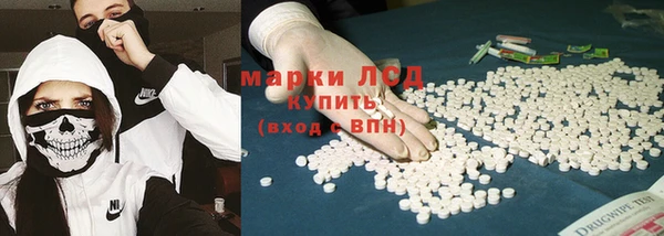 СК Зерноград