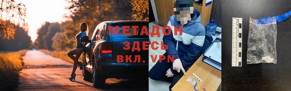прущие грибы Болохово