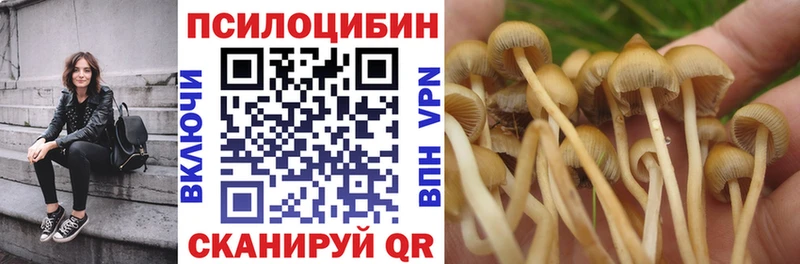Галлюциногенные грибы Psilocybine cubensis  хочу наркоту  гидра зеркало  Искитим 